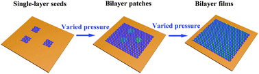 Graphical abstract: Chemical vapor deposition of bilayer graphene with layer-resolved growth through dynamic pressure control