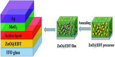 Graphical abstract: A homogeneous ethanedithiol doped ZnO electron transporting layer for polymer solar cells