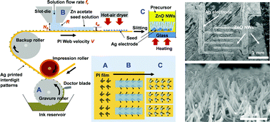 Graphical abstract: Flexible ultraviolet photodetectors with ZnO nanowire networks fabricated by large area controlled roll-to-roll processing