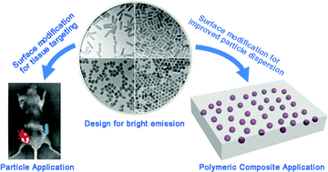 Graphical abstract: Design of infrared-emitting rare earth doped nanoparticles and nanostructured composites