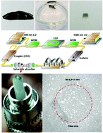 Graphical abstract: MoS2 nano-flake doped polyvinyl alcohol enabling polarized soliton mode-locking of a fiber laser