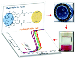 Graphical abstract: Magnetic observation of above room-temperature spin transition in vesicular nano-spheres