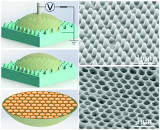 Graphical abstract: Shape-controllable plano-convex lenses with enhanced transmittance via electrowetting on a nanotextured dielectric