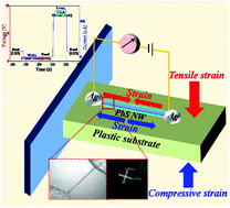 Graphical abstract: Rewritable non-volatile stress information memory by bulk trap-induced giant piezoresistance effect in individual PbS micro/nanowires