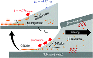 Graphical abstract: A simulation-assisted solution-processing method for a large-area, high-performance C10-DNTT organic semiconductor crystal