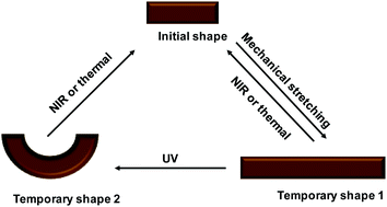 Graphical abstract: Photoinduced triple shape memory polyurethane enabled by doping with azobenzene and GO