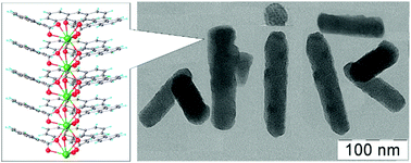 Graphical abstract: Lanthanide 9-anthracenate: solution processable emitters for efficient purely NIR emitting host-free OLEDs