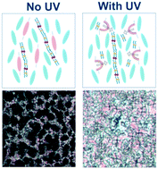 Graphical abstract: Photo-driven change in the polar environment tunes gelation in a nematic liquid crystal