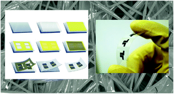 Graphical abstract: Melanin-based flexible supercapacitors