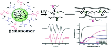 Graphical abstract: Intramolecular-initiating photopolymerization behavior of nanogels with the capability of reducing shrinkage