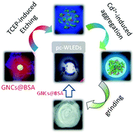 Graphical abstract: Combination of chemical etching of gold nanoclusters with aggregation-induced emission for preparation of new phosphors for the development of UV-driven phosphor-converted white light-emitting diodes