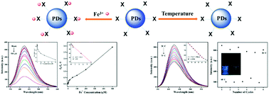 Graphical abstract: Bi-functional fluorescent polymer dots: a one-step synthesis via controlled hydrothermal treatment and application as probes for the detection of temperature and Fe3+