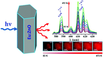 Graphical abstract: Red emitting Eu:ZnO nanorods for highly sensitive fluorescence intensity ratio based optical thermometry