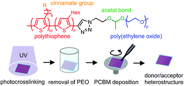 Graphical abstract: A block copolymer of crosslinkable polythiophene and removable poly(ethylene oxide) for preparing heterostructures of organic semiconductors