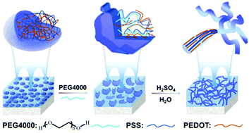 Graphical abstract: Crystallization and conformation engineering of solution-processed polymer transparent electrodes with high conductivity