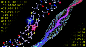 Graphical abstract: Charge transport in highly ordered organic nanofibrils: lessons from modelling