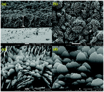 Graphical abstract: The in situ growth of CuO nanostructures on an ITO substrate and its application as a highly sensitive electrode for the electrochemical determination of N-acetyl-l-cysteine