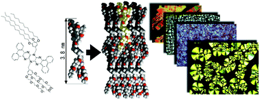 Graphical abstract: Fluorescent mesomorphic pyrazinacenes