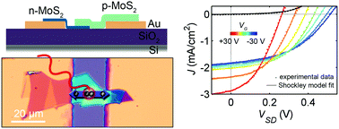 Graphical abstract: Gate tunable photovoltaic effect in MoS2 vertical p–n homostructures