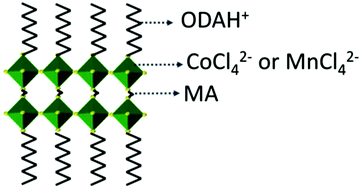 Graphical abstract: Generating new magnetic properties in organic–inorganic hybrids