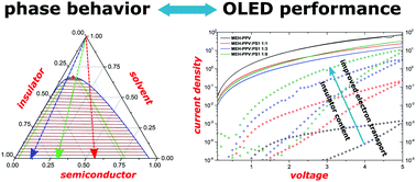 Graphical abstract: Charge carrier trapping controlled by polymer blend phase dynamics