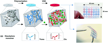 Graphical abstract: Vapor phase solvatochromic responses of polydiacetylene embedded matrix polymers