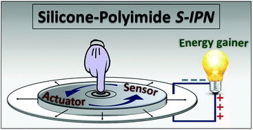 Graphical abstract: Dielectric elastomers with dual piezo-electrostatic response optimized through chemical design for electromechanical transducers