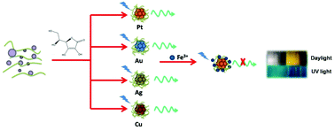 Graphical abstract: Facile synthesis of water soluble fluorescent metal (Pt, Au, Ag and Cu) quantum clusters for the selective detection of Fe3+ ions as both fluorescent and colorimetric probes