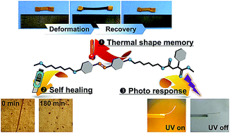 Graphical abstract: Azobenzene-containing liquid crystalline polyester with π–π interactions: diverse thermo- and photo-responsive behaviours