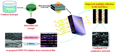 Graphical abstract: Tunable electromagnetic interference shielding effectiveness via multilayer assembly of regenerated cellulose as a supporting substrate and carbon nanotubes/polymer as a functional layer