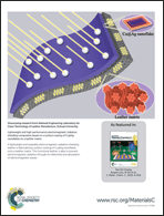 Graphical abstract: Inside back cover