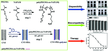 Graphical abstract: Mussel-inspired PEGylated carbon nanotubes: biocompatibility evaluation and drug delivery applications