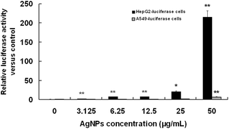 Graphical abstract: Comparative oxidative stress elicited by nanosilver in stable HSPA1A promoter-driven luciferase reporter HepG2 and A549 cells