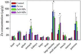 Graphical abstract: Low toxicity and accumulation of zinc oxide nanoparticles in mice after 270-day consecutive dietary supplementation