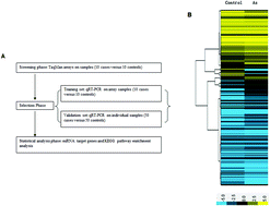 Graphical abstract: Circulating miRNAs and their target genes associated with arsenism caused by coal-burning