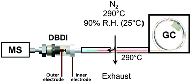 Graphical abstract: Atmospheric pressure soft ionization for gas chromatography with dielectric barrier discharge ionization-mass spectrometry (GC-DBDI-MS)