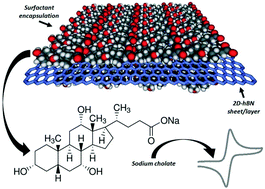 Graphical abstract: Surfactant exfoliated 2D hexagonal Boron Nitride (2D-hBN) explored as a potential electrochemical sensor for dopamine: surfactants significantly influence sensor capabilities
