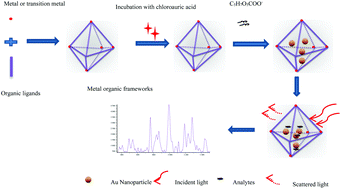 Graphical abstract: SERS-active metal–organic frameworks with embedded gold nanoparticles