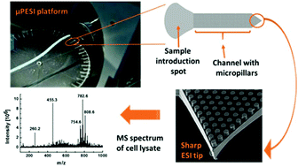 Graphical abstract: Thiol–ene micropillar array electrospray ionization platform for zeptomole level bioanalysis