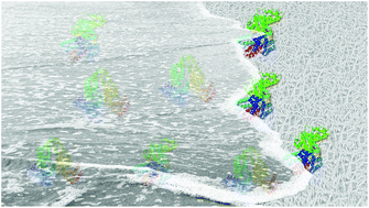 Graphical abstract: Addressing the distribution of proteins spotted on μPADs
