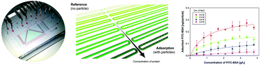 Graphical abstract: A microfluidic device for the batch adsorption of a protein on adsorbent particles