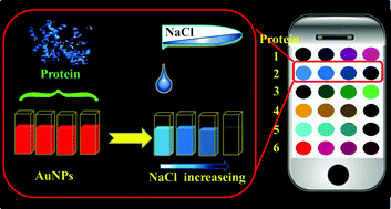 Graphical abstract: A smartphone readable colorimetric sensing platform for rapid multiple protein detection