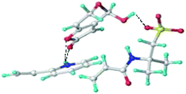 Graphical abstract: Development of a computationally-designed polymeric adsorbent specific for mycotoxin patulin