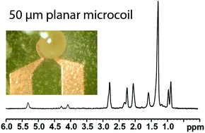 Graphical abstract: Towards single egg toxicity screening using microcoil NMR