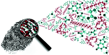 Graphical abstract: Revealing the spatial distribution of chemical species within latent fingermarks using vibrational spectroscopy