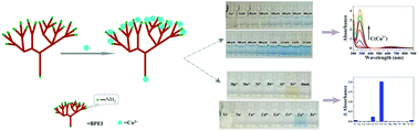 Graphical abstract: Ultra-facile and rapid colorimetric detection of Cu2+ with branched polyethylenimine in 100% aqueous solution
