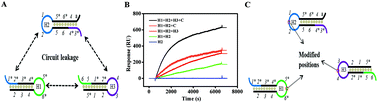 Graphical abstract: Engineering high-performance hairpin stacking circuits for logic gate operation and highly sensitive biosensing assay of microRNA