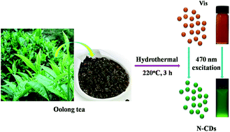 Graphical abstract: Green-fluorescent nitrogen-doped carbon nanodots for biological imaging and paper-based sensing