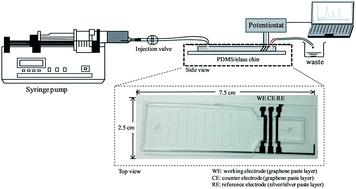 Graphical abstract: Screen-printed graphene-based electrochemical sensors for a microfluidic device