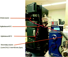 Graphical abstract: New insights into supercritical fluid chromatography for chiral separations